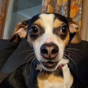 Meet your Posher, Kristel